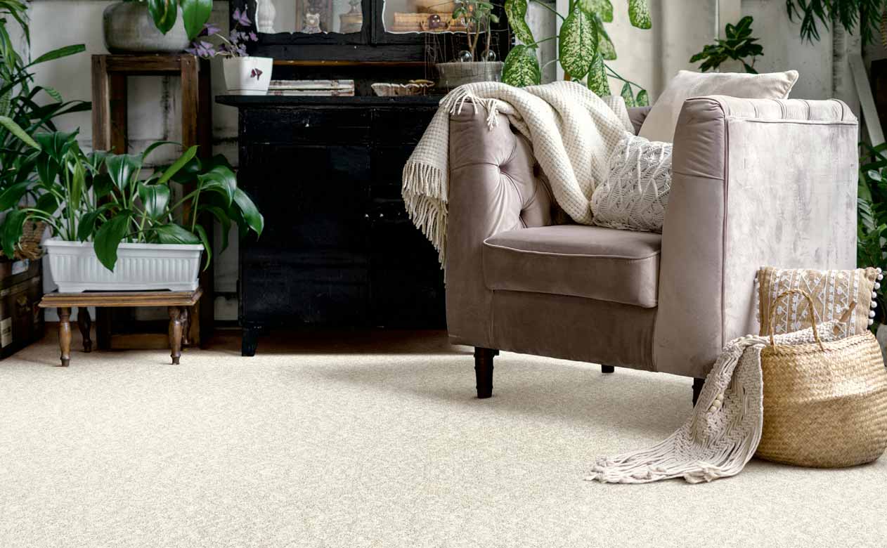 Living room with a velvet accent chair and cream colored carpet